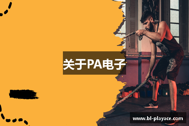 关于PA电子